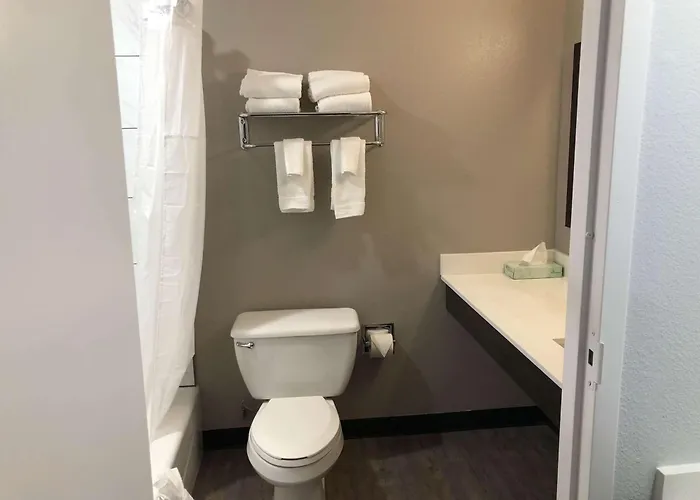6 Tx
